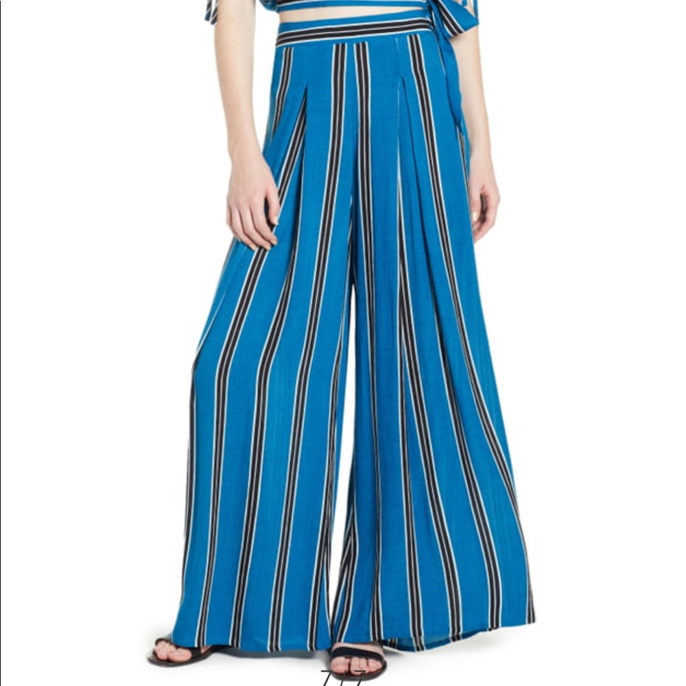 NWT wide leg striped pants with pleats